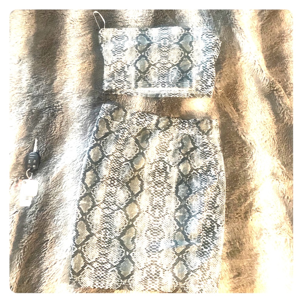 Snake print crop top skirt set